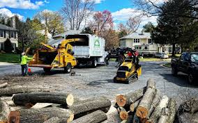 Best Seasonal Cleanup (Spring/Fall)  in Stanton, KY