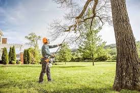 Best Tree and Shrub Care  in Stanton, KY