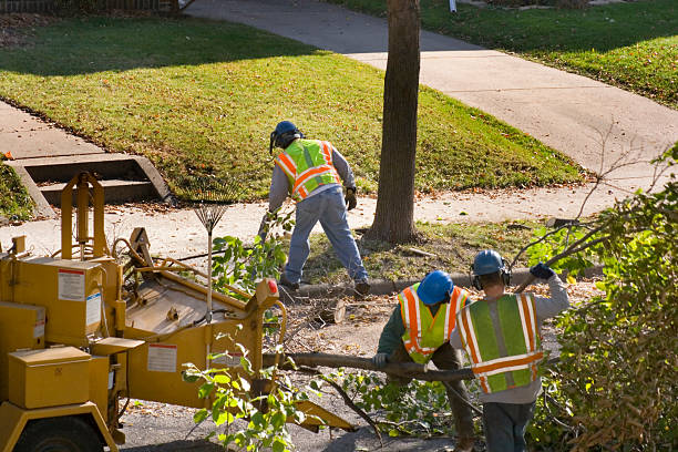 Best Emergency Tree Removal  in Stanton, KY